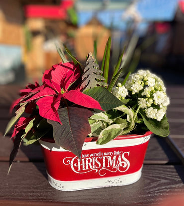 Christmas Joy Planter