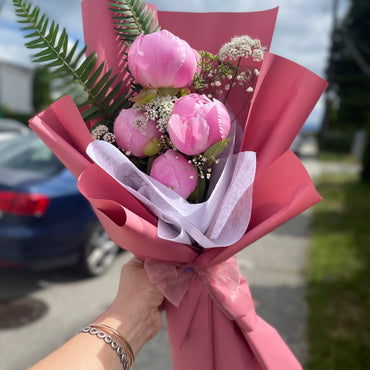 Blooms of Peonies