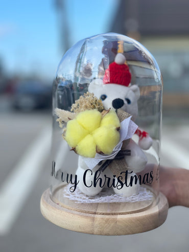 Christmas Teddy Dome