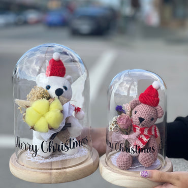 Christmas Teddy Dome