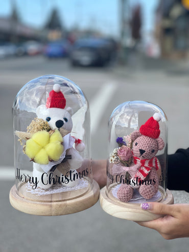 Christmas Teddy Dome