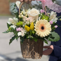 Bella Basket