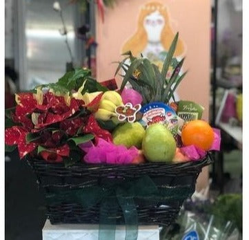 Christmas Fruits & Blooms