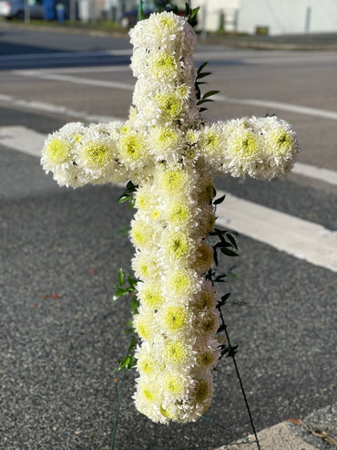 In Our Hearts