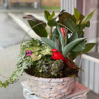 Spring Planter