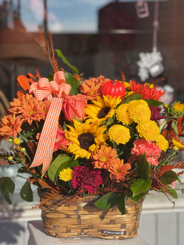 Hello Autumn!