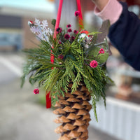 Sugar Pine Cone