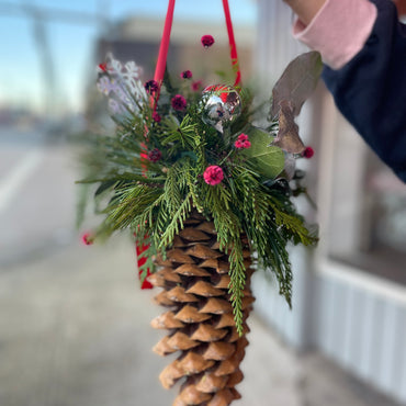 Sugar Pine Cone