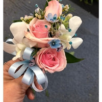 Pastel Skyblue