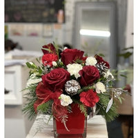 Delightful Red