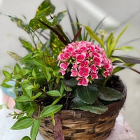 Happy Spring Mix