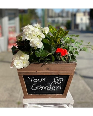 Wonderful Garden