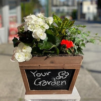 Wonderful Garden