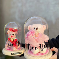 Preserved Teddy Dome