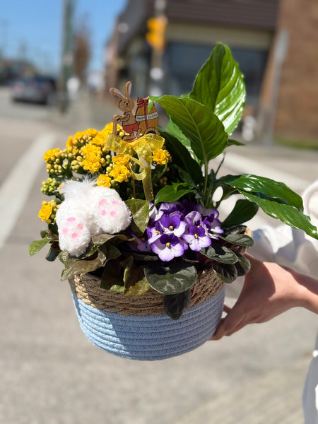 Spring Up Basket