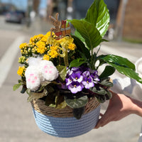 Spring Up Basket