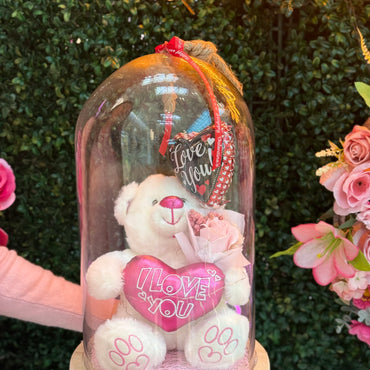 Preserved Teddy Dome