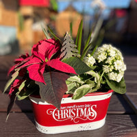 Christmas Joy Planter