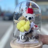 Christmas Teddy Dome