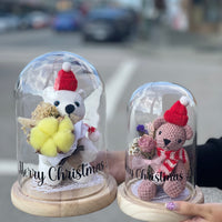 Christmas Teddy Dome