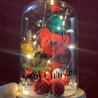 Christmas Teddy Dome