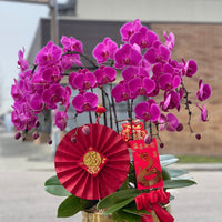 Fortune 8 Stem Orchid Arrangement