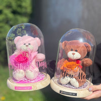 Preserved Teddy Dome