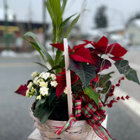 Poinsettia Basket