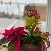 Christmas Planter Set