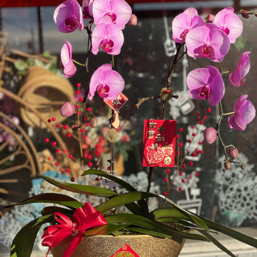 Fortune 2 Stem Orchid Arrangement
