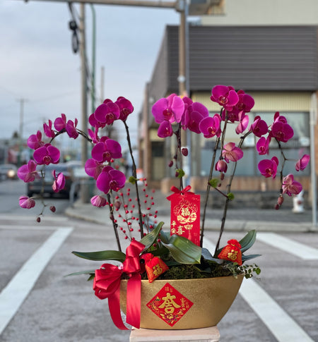Fortune 5 Stem Purple Orchid Arrangement