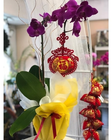 Lucky 1 Stem Purple Orchid
