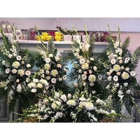 Peaceful Light Package 