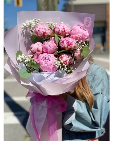 Blooms of Peonies